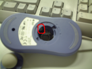 mouse_before.png